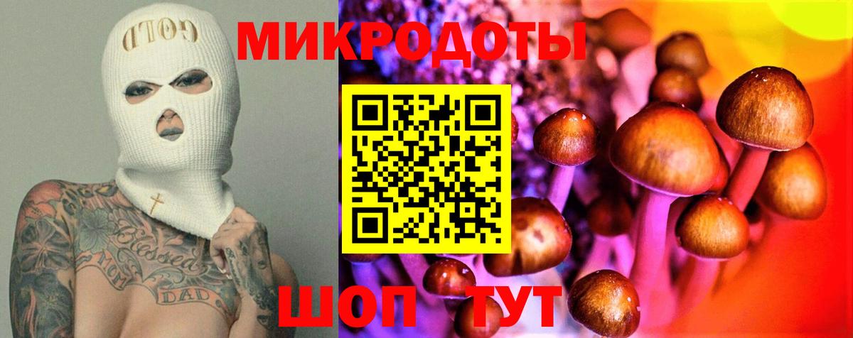 Галлюциногенные грибы Psilocybine cubensis  Вход с VPN  цены   Нововоронеж 