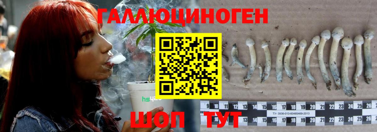 Псилоцибиновые грибы Magic Shrooms Нововоронеж